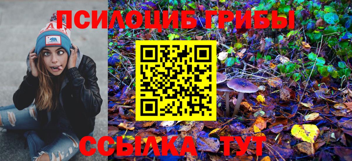 Галлюциногенные грибы ЛСД  Вход с VPN  где купить   Волоколамск 