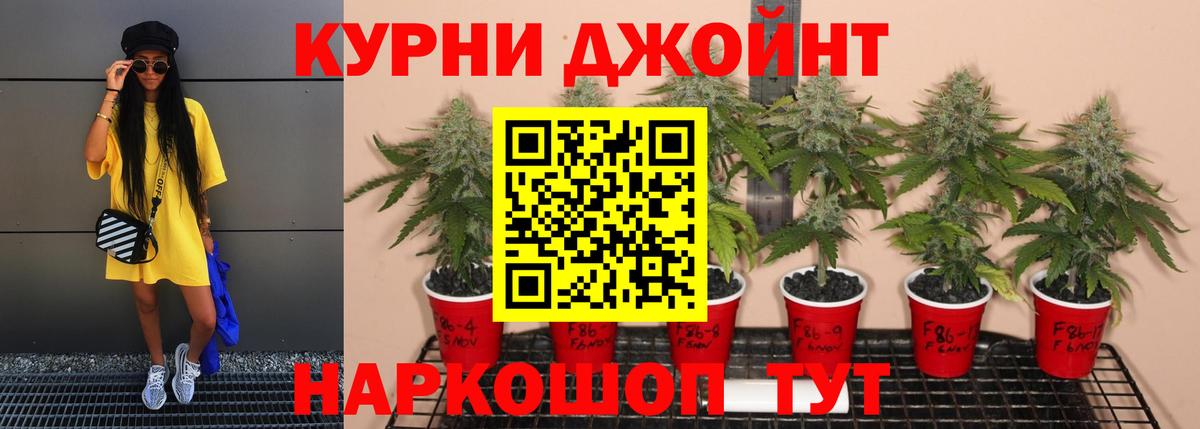 Волоколамск  Шишки марихуана OG Kush  Конопля тримм  Вход с VPN 